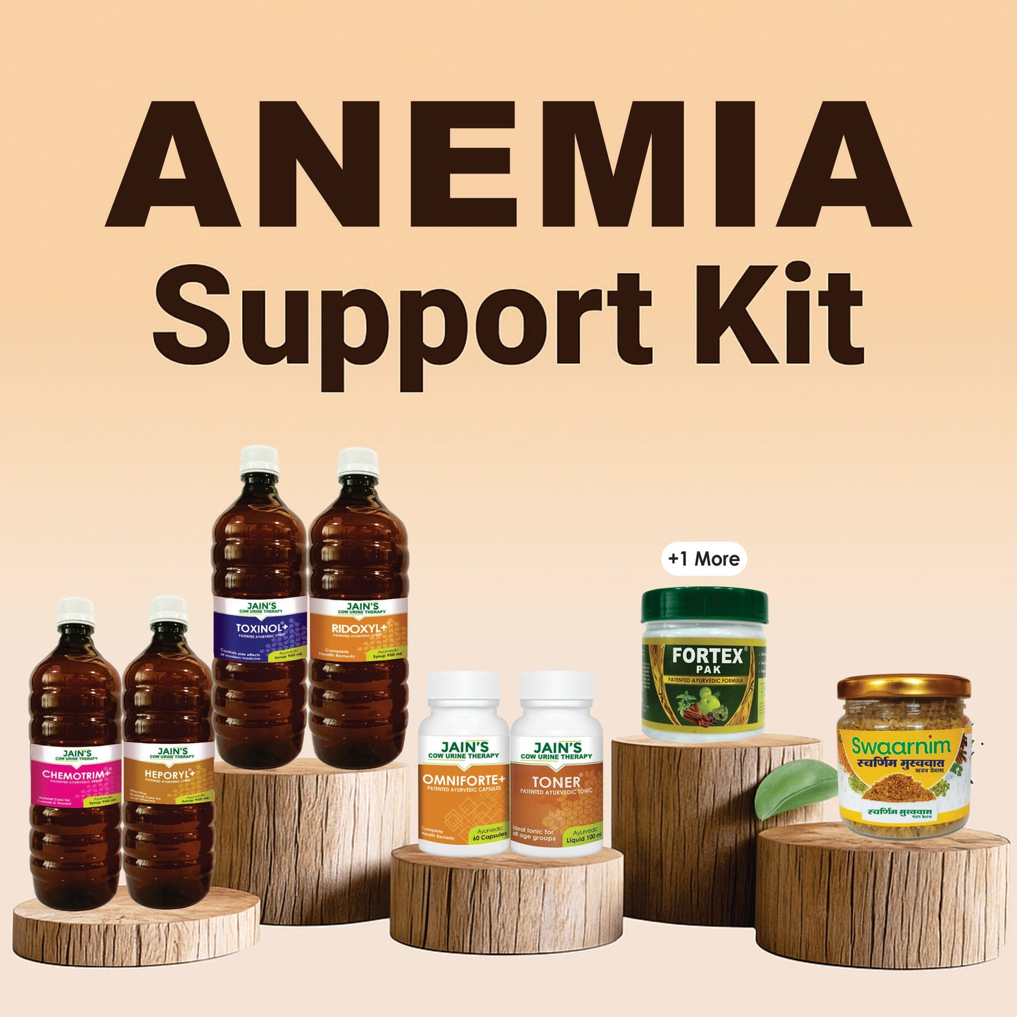 ANEMIA SUPPORT KIT