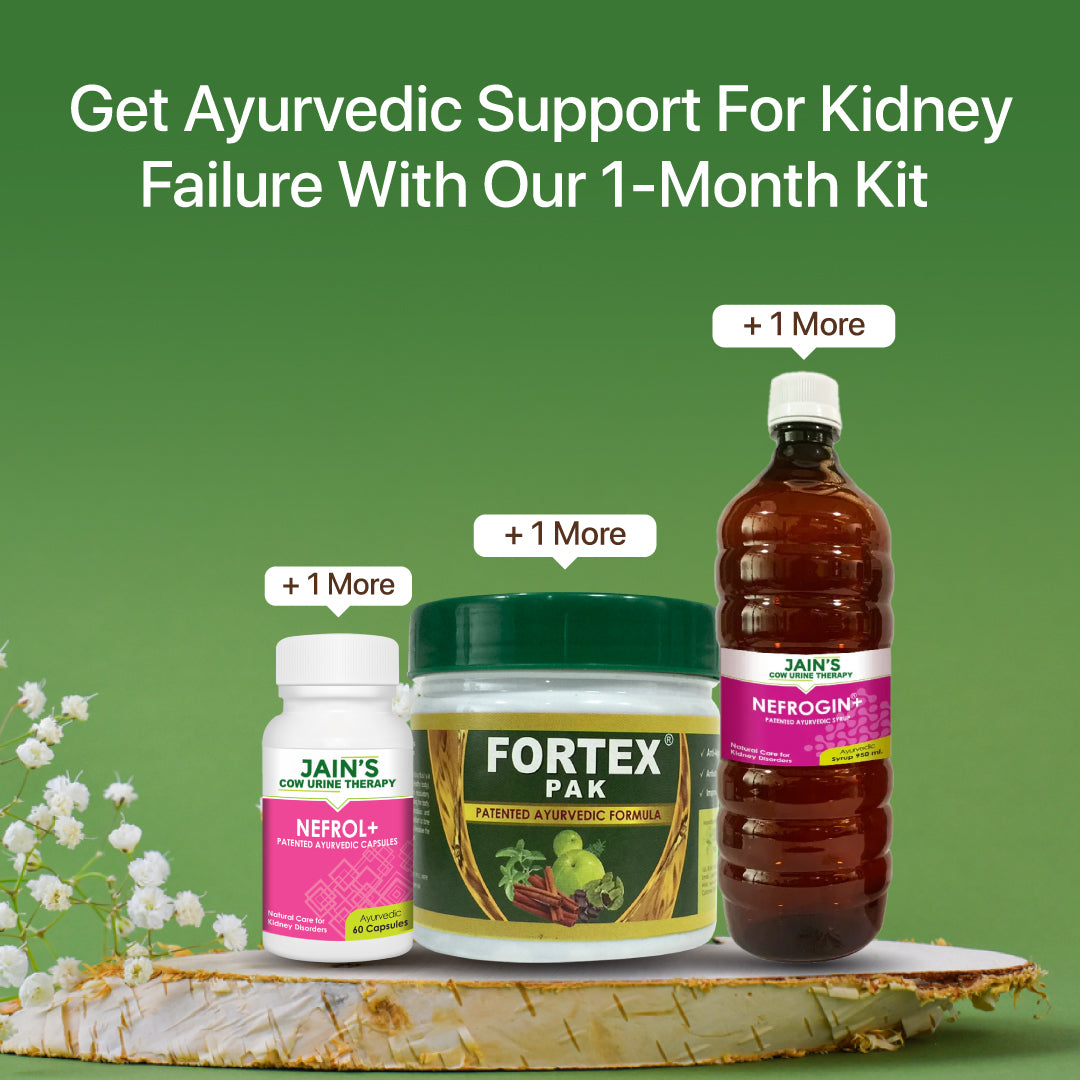 Kidney Failure Support Kit By Jain's Cow Urine Therapy