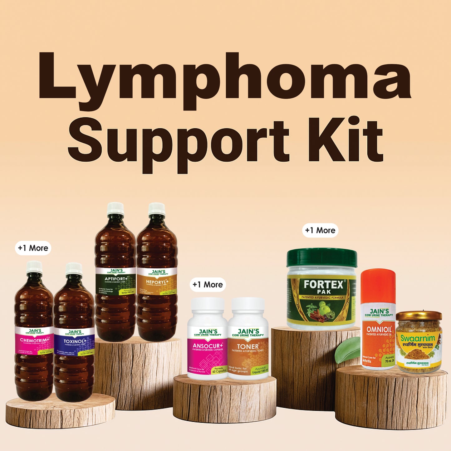 Lymphoma Support Kit