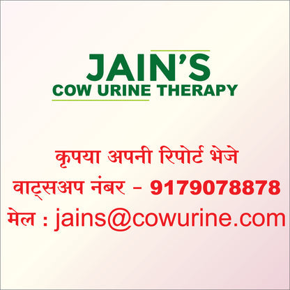 Peptic Ulcers Support Kit