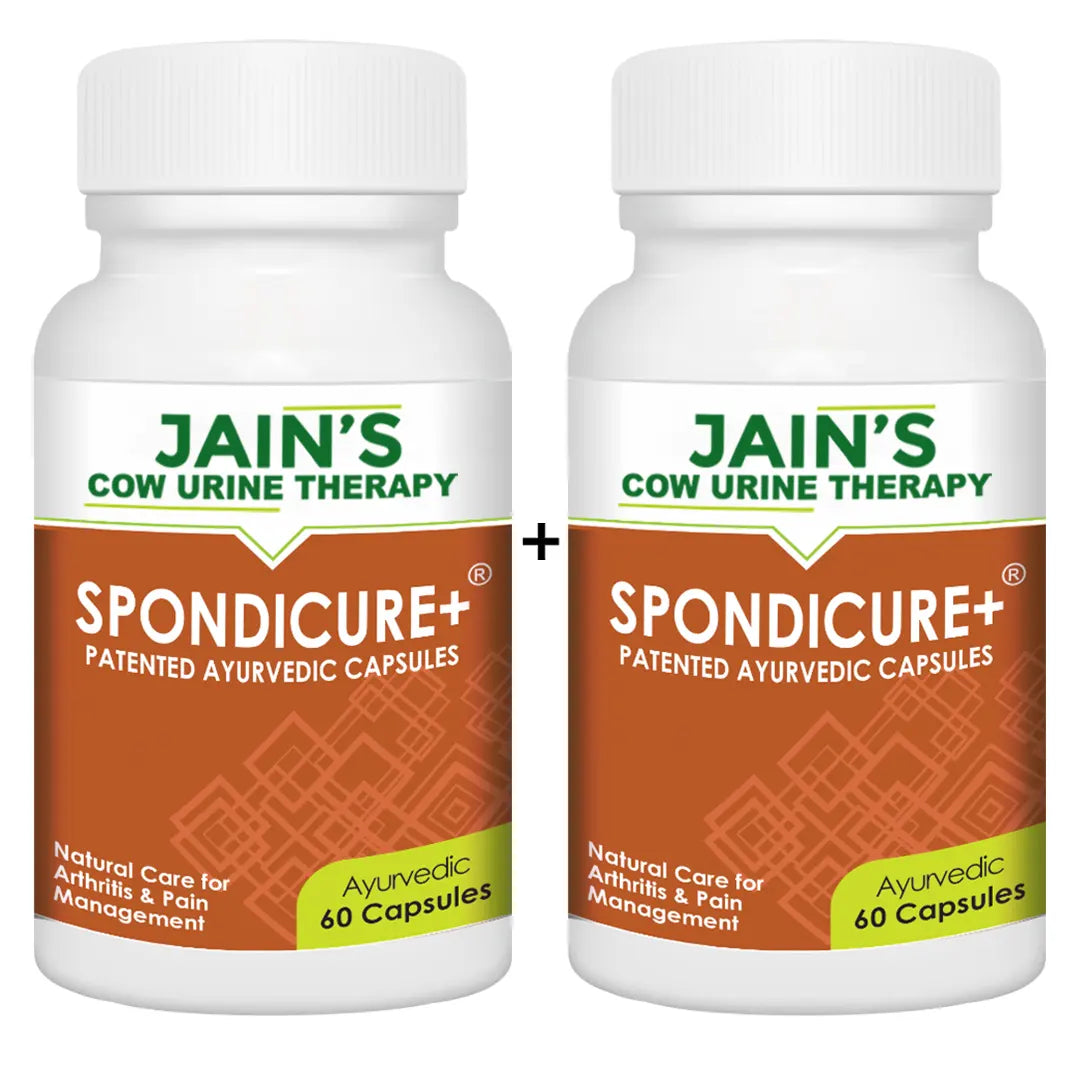 SPONDICURE+ Capsule Pack of 60 By Jain's Cow Urine Therapy