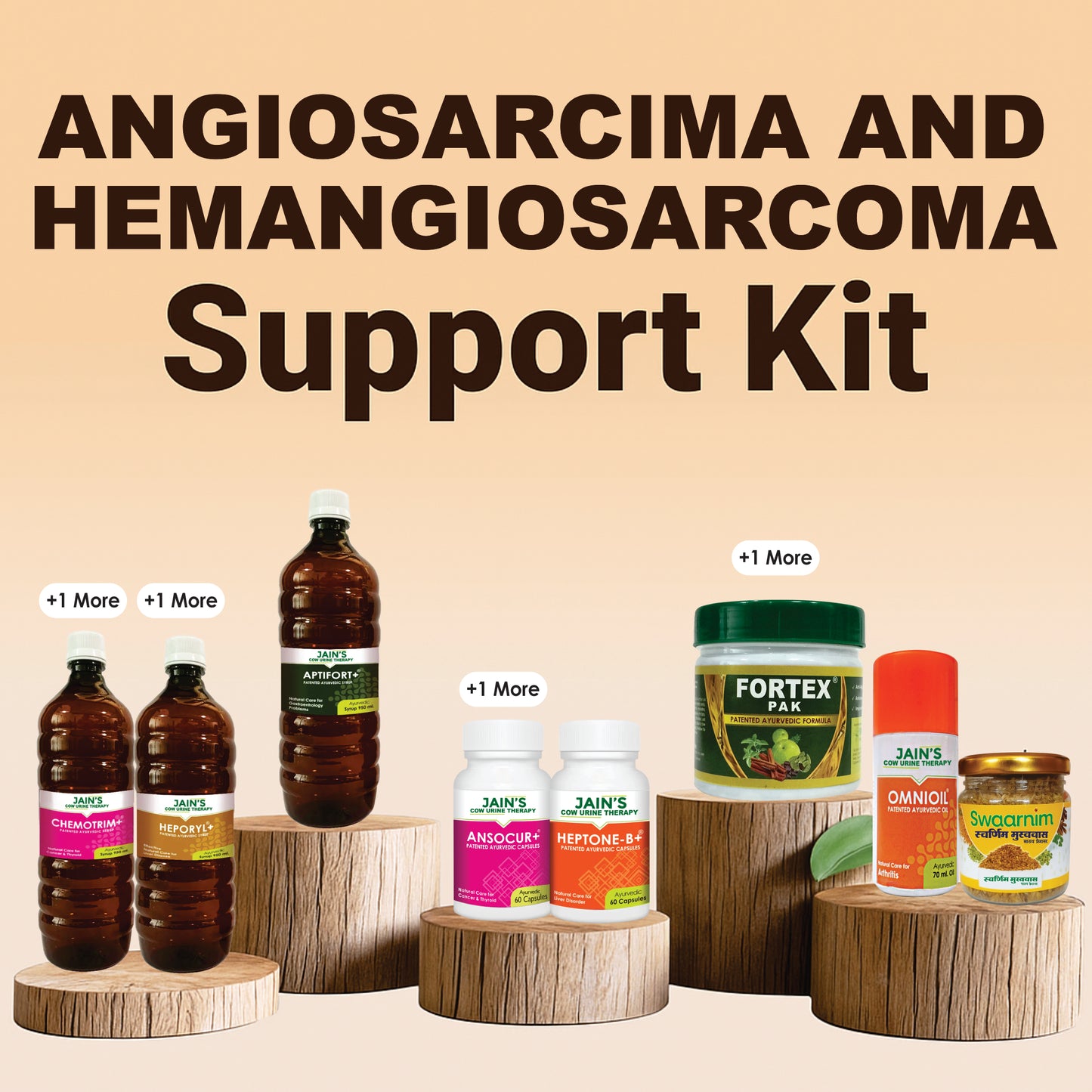 Angiosarcoma and Hemangiosarcoma Support Kit