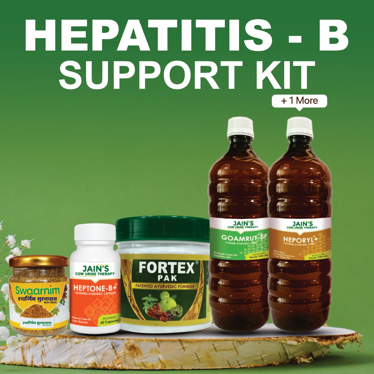 HEPATITIS B - SUPPORT KIT