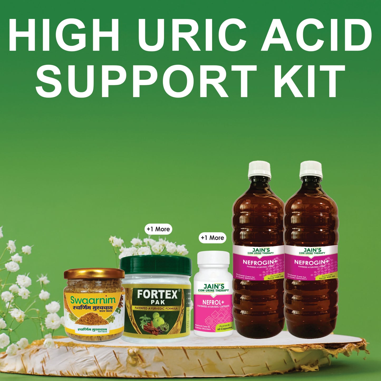 HIGH URIC ACID - SUPPORT KIT
