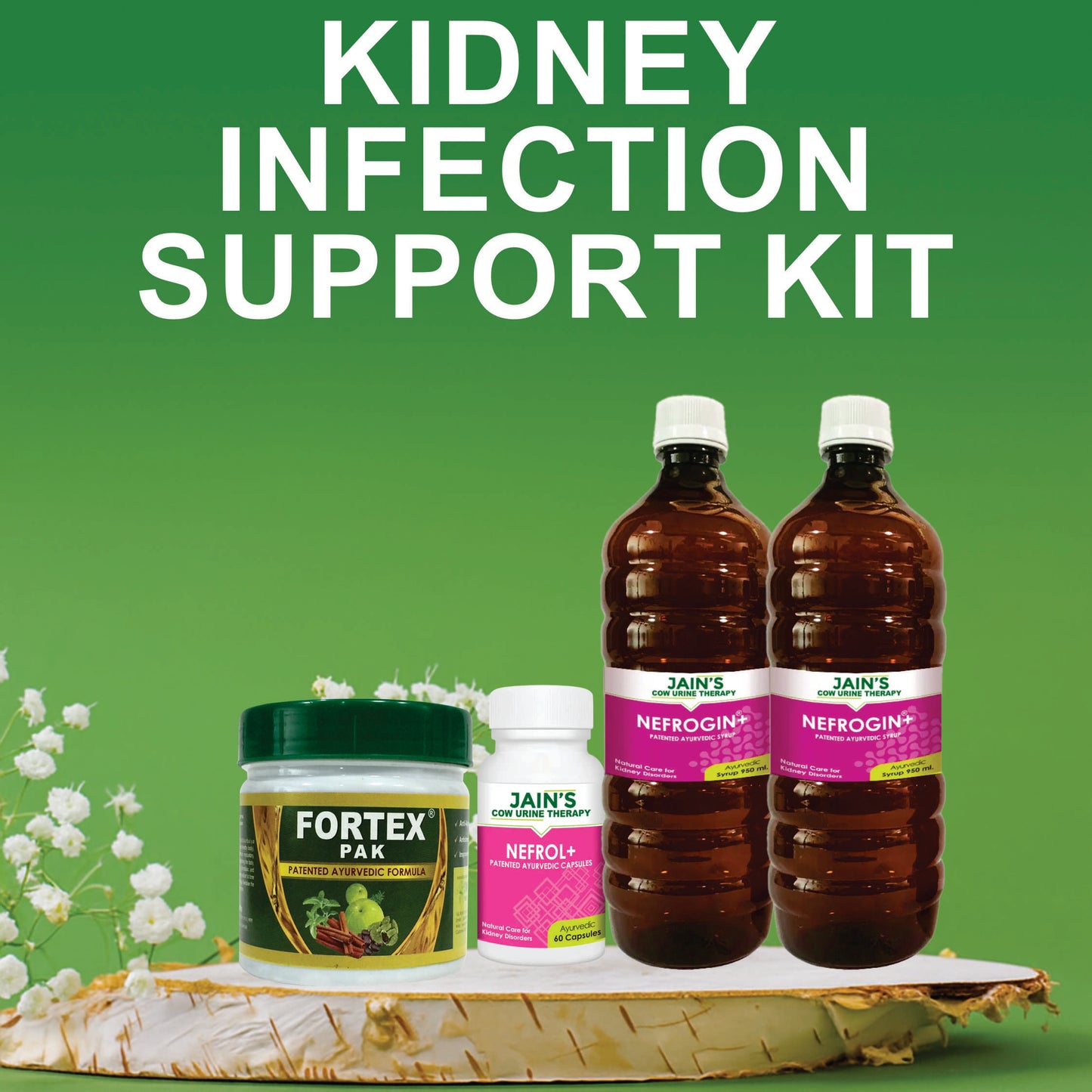 KIDNEY INFECTION (PYELONEPHRITIS) SUPPORT KIT