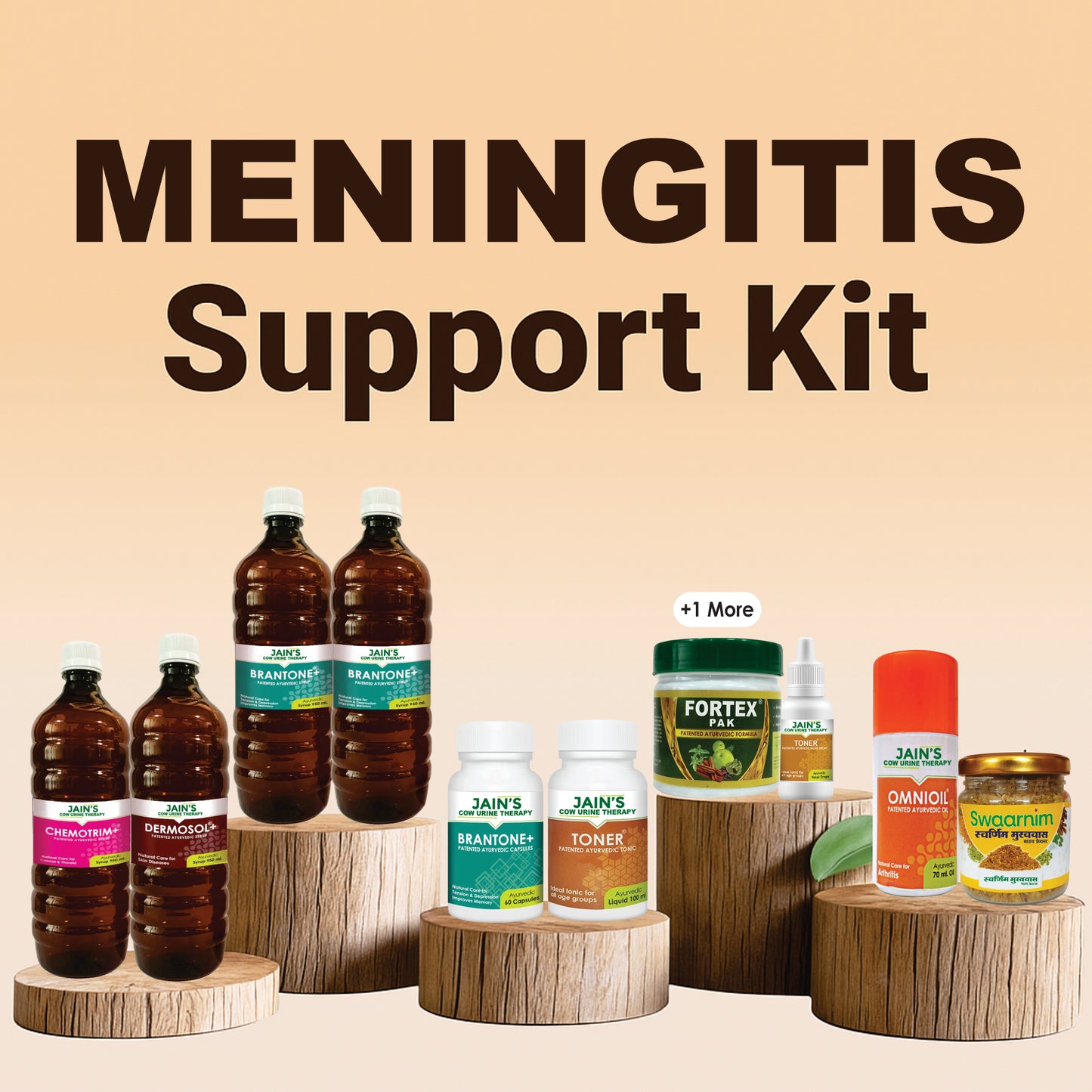 MENINGITIS - SUPPORT KIT