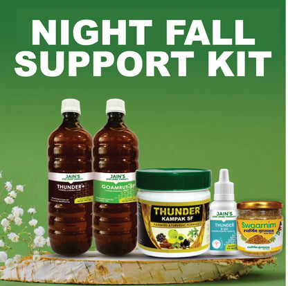 Night Fall Control Kit
