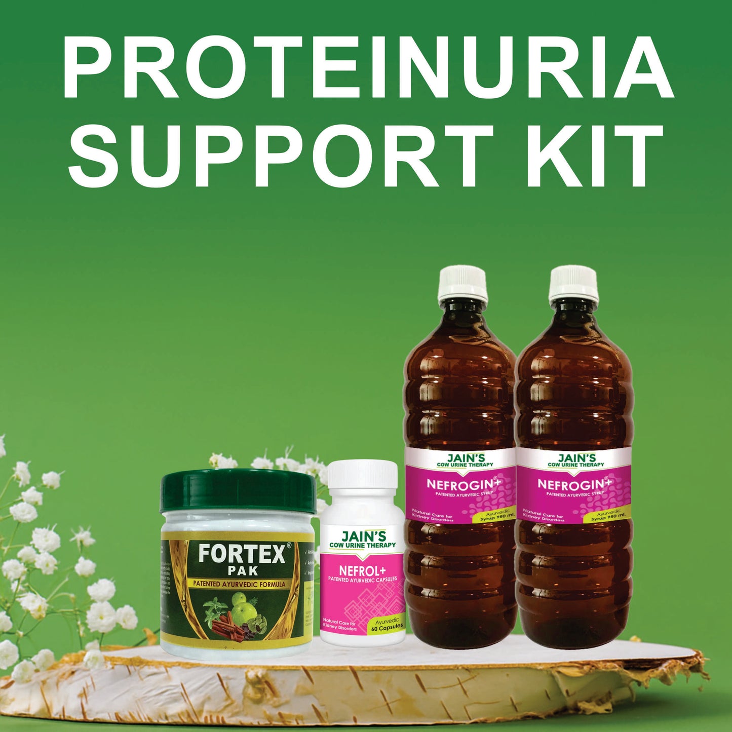 PROTEINURIA SUPPORT KIT