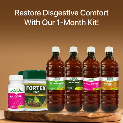 Peptic Ulcers Support Kit By Jain's Cow Urine Therapy