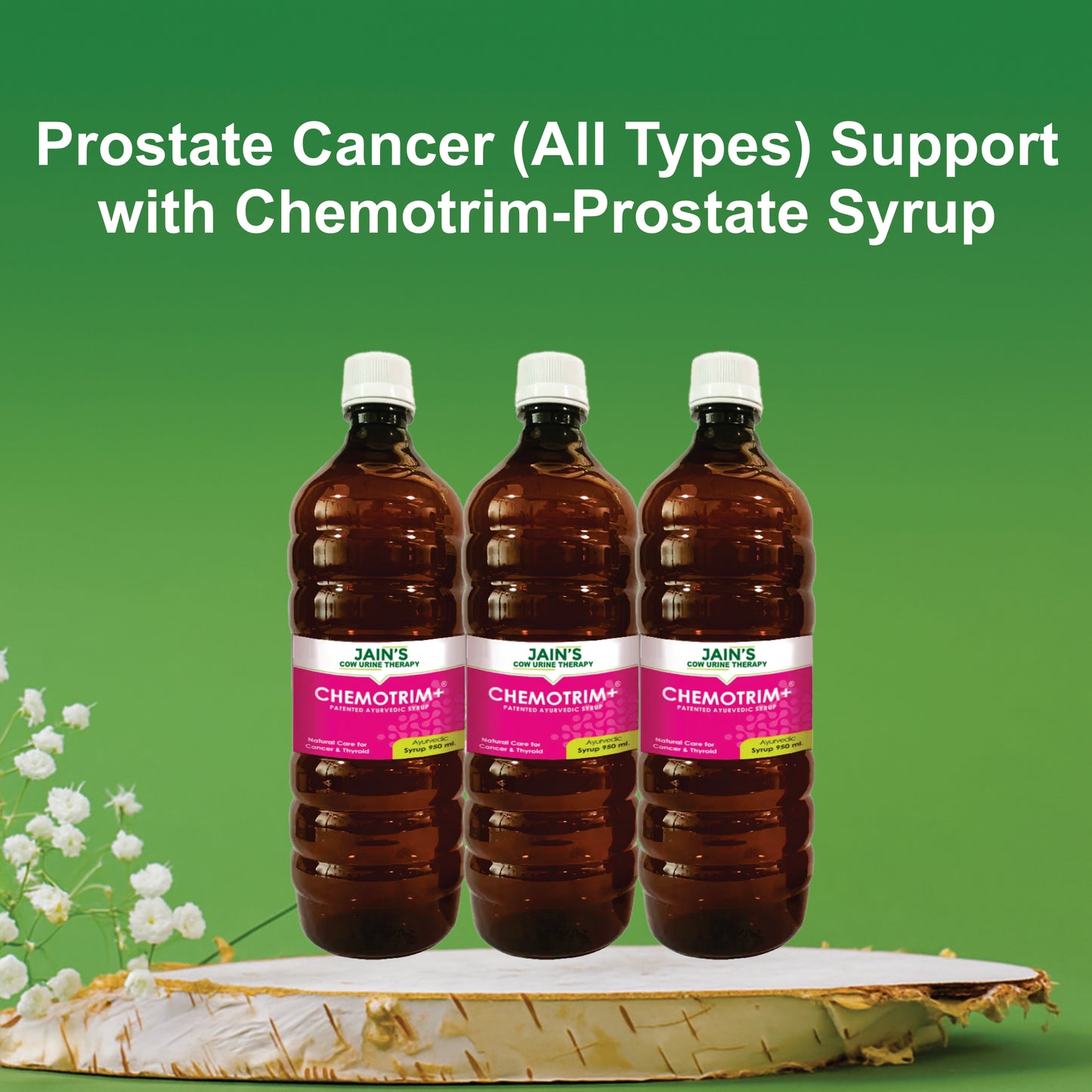 Prostate Cancer (All Types) Support with Chemotrim-Prostate Syrup