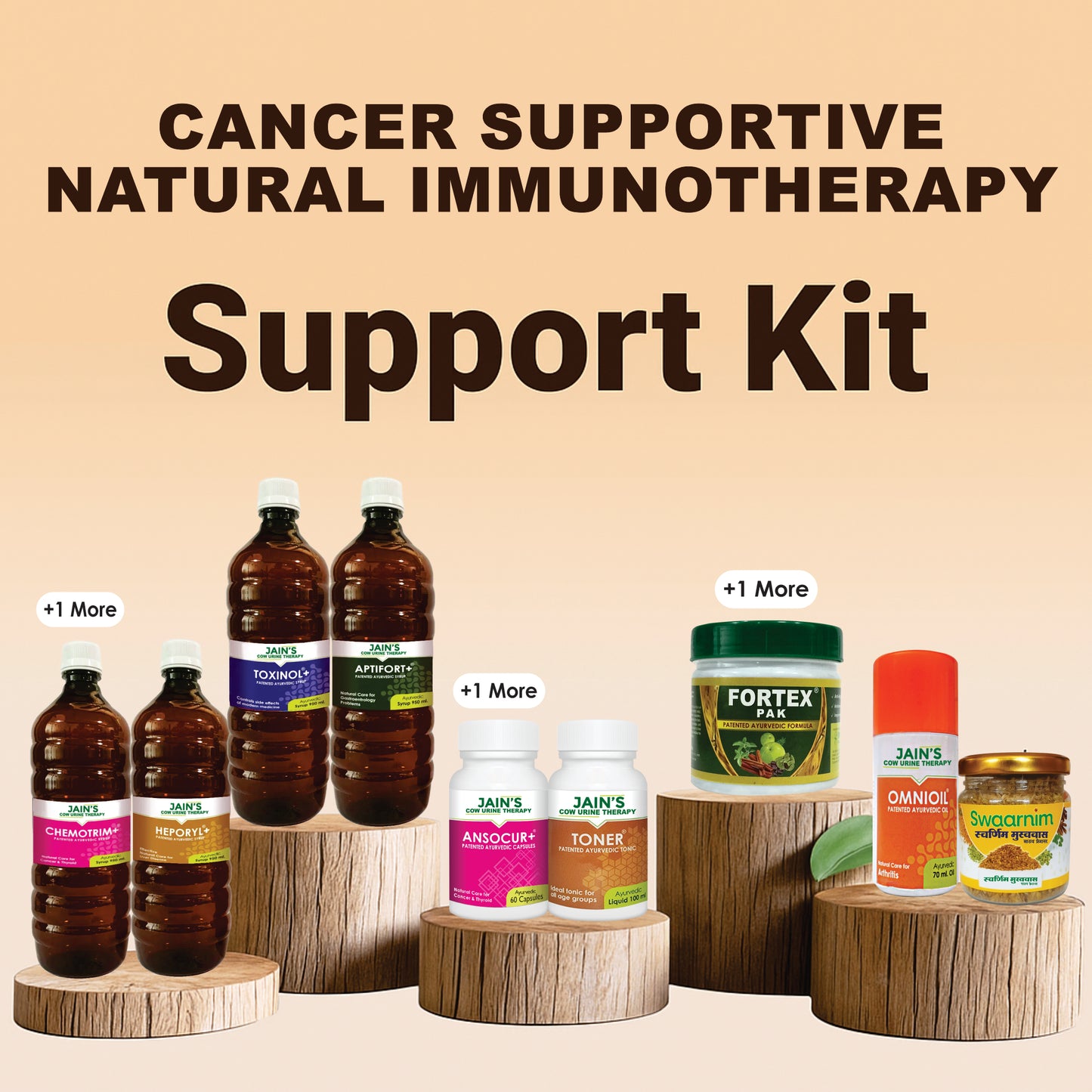 CANCER SUPPORTIVE NATURAL IMMUNOTHERAPY