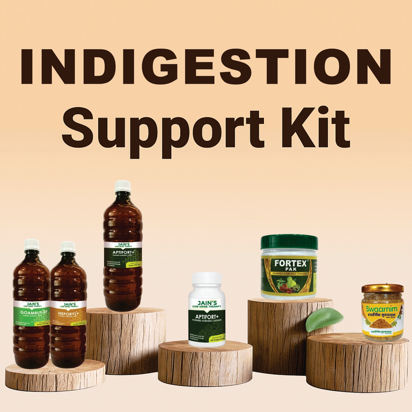 INDIGESTION SUPPORT TREATMENT